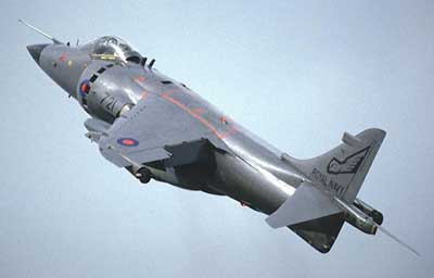 Sea Harrier kampfly fra Royal Navy